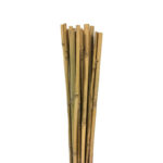 Bamboo Support Stake 295 cm