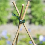 Plant Support Ring 3.5 cm