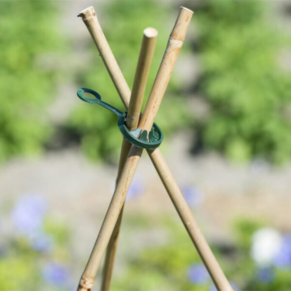 Plant Support Ring 2.5 cm