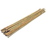 Bamboo Support Stake 235 cm